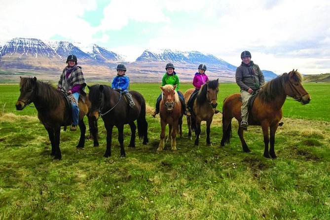 Family Friendly Horse Riding Tour in Skagafjörður - What makes this ride worth your hour