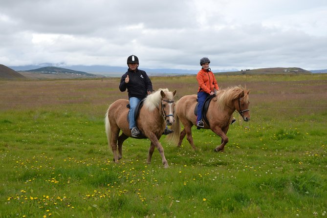 Family Friendly Horse Riding Tour in Skagafjörður - A short ride with real Icelandic scenery