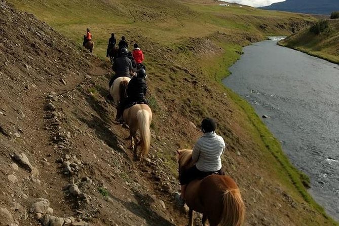 Family Friendly Horse Riding Tour in Skagafjörður - Why families may feel comfortable here