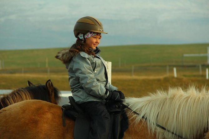 Family Friendly Horse Riding Tour in Skagafjörður - Is $90.05 good value for one hour?