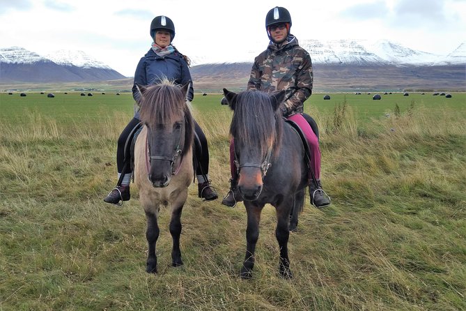 Family Friendly Horse Riding Tour in Skagafjörður - Practical clothing and preparation tips