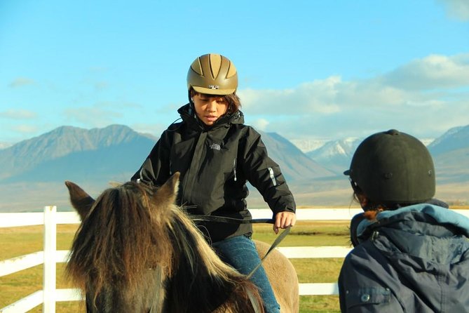 Family Friendly Horse Riding Tour in Skagafjörður - Who will enjoy this most