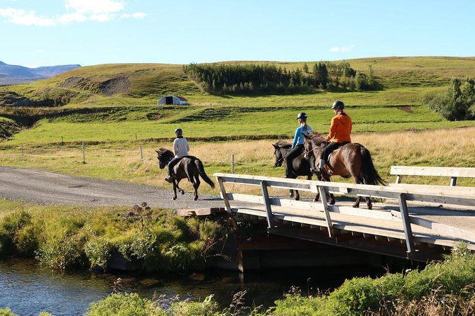 Family Friendly Horse Riding Tour in Skagafjörður - Should you book the Hestasport ride?