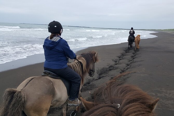Family Horse Riding Tour in Thorlakshofn - A coastal ride with an important timing question