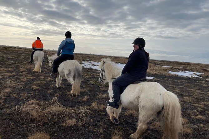 Family Horse Riding Tour in Thorlakshofn - Is $180 a fair price?