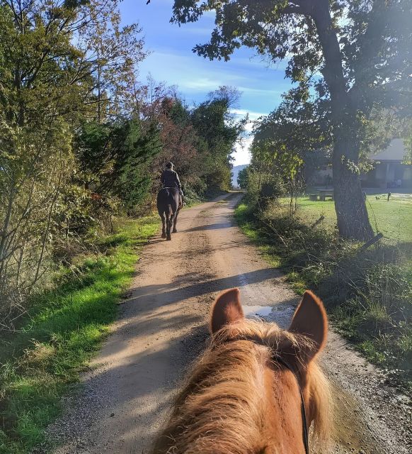 Fattoria Tègoni: horseback riding in Tuscany - Key points at a glance