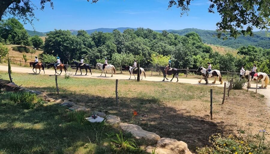 Fattoria Tègoni: horseback riding in Tuscany - Children under 14 need special planning