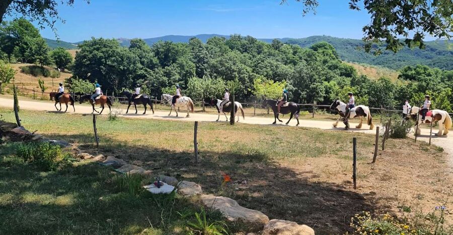 Fattoria Tègoni: horseback riding in Tuscany - The first hour on horseback