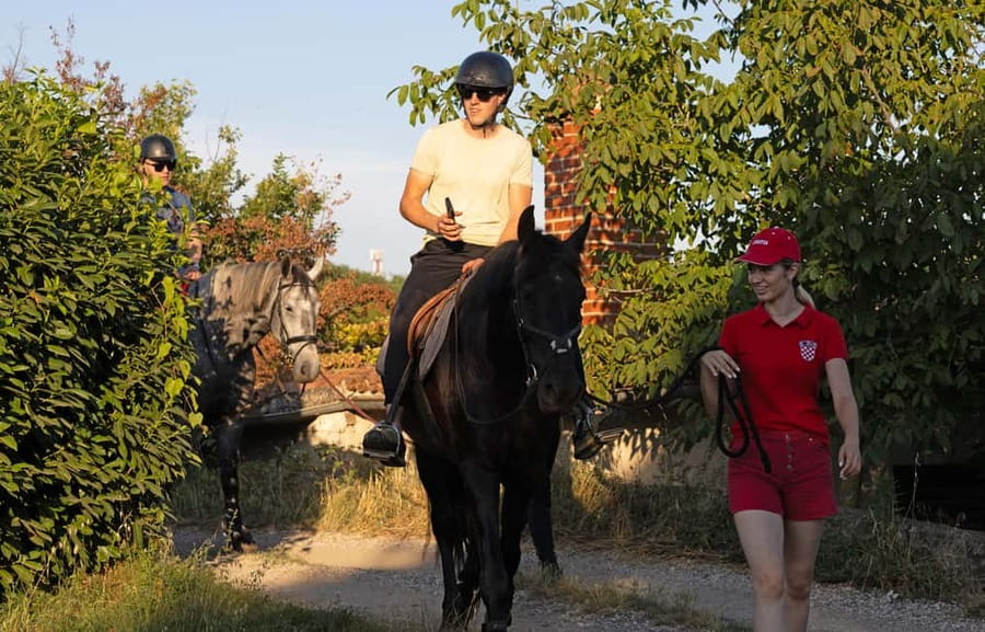 Fazana: Sunset 1-hour Horse Riding in Nature with Guide - Who should book, and who should think twice?