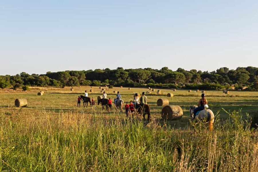Fazana: Sunset 1-hour Horse Riding in Nature with Guide - Pine woods, birds, and a slower pace