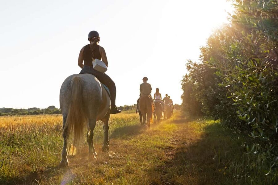 Fazana: Sunset 1-hour Horse Riding in Nature with Guide - Meeting the horses at Ranch Laguna Fažana