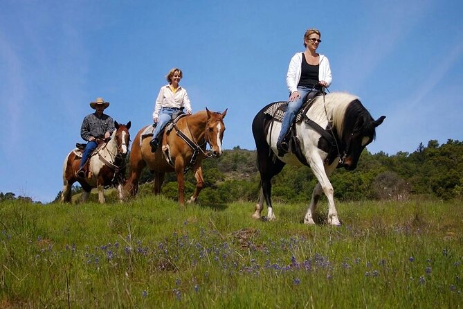 Fethiye Horse Riding Experience With Free Hotel Transfer Service - Riding through fields and pine forests