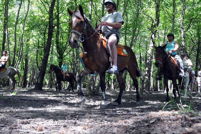 Fethiye Horse Riding Experience With Free Hotel Transfer Service - What the free hotel transfer adds