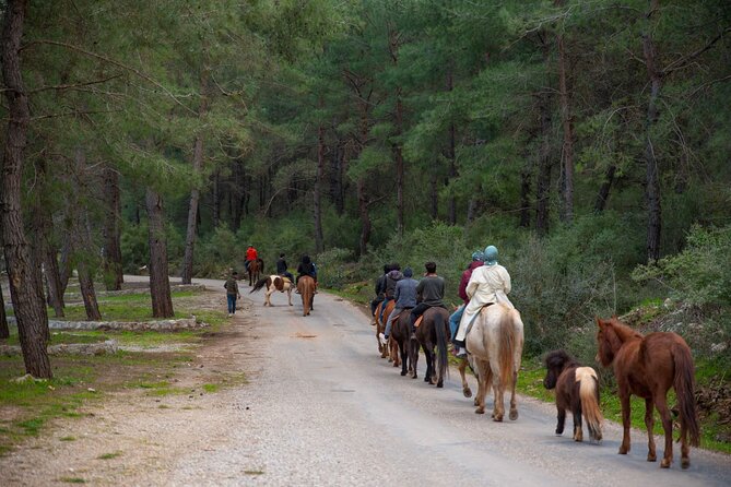 Fethiye Horse Riding Experience With Free Hotel Transfer Service - Is $55 a fair price?