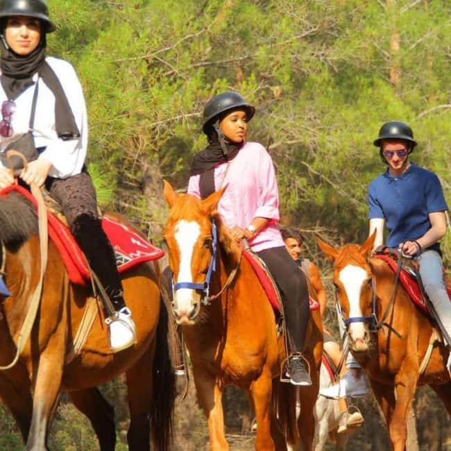 Fethiye Horse Safari Tour, Forest and Hisaronu View - The language and staff support