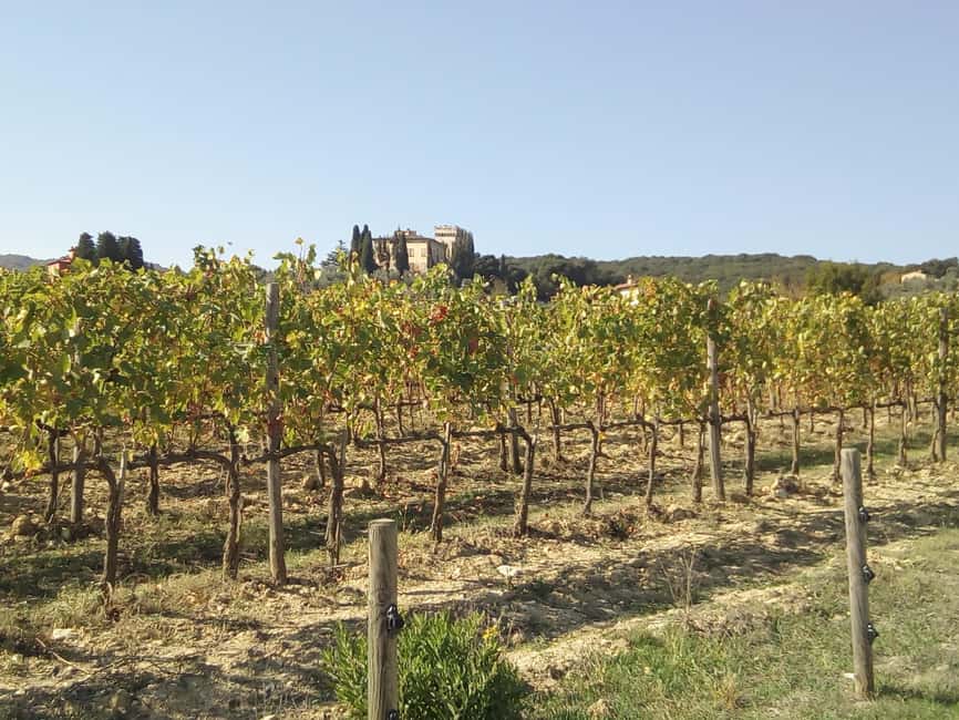 Florence: Horseback Riding Tour with Wine Tasting & Transfer - Key points at a glance