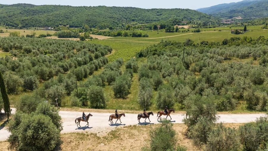 Florence: Horseback Riding Tour with Wine Tasting & Transfer - Riding among vineyards and olive trees