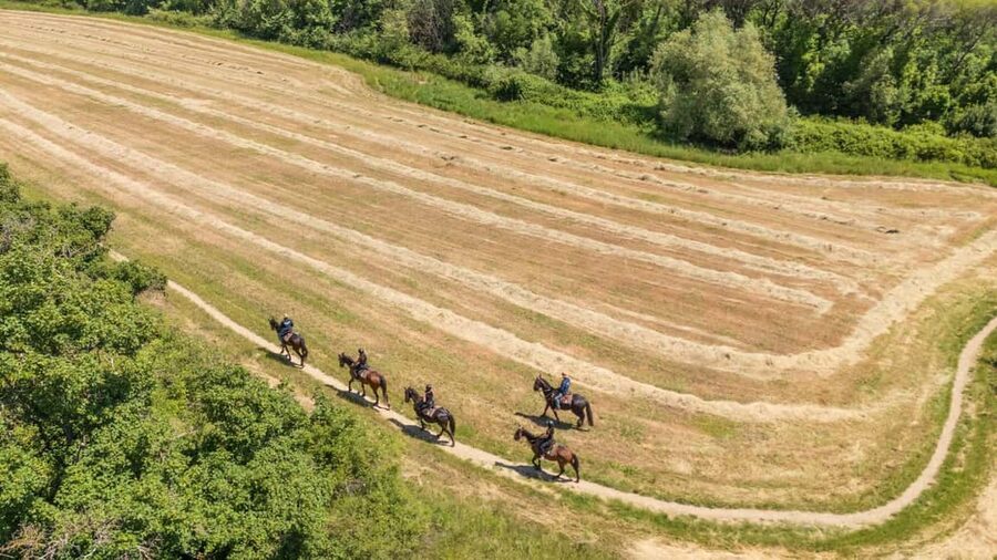 Florence: Horseback Riding Tour with Wine Tasting & Transfer - Guides who make the difference