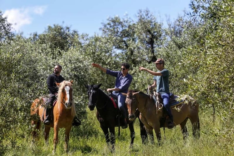 Florence: Private Horseback Ride with Tuscan Lunch or Dinner - Leaving Florence for Pontassieve