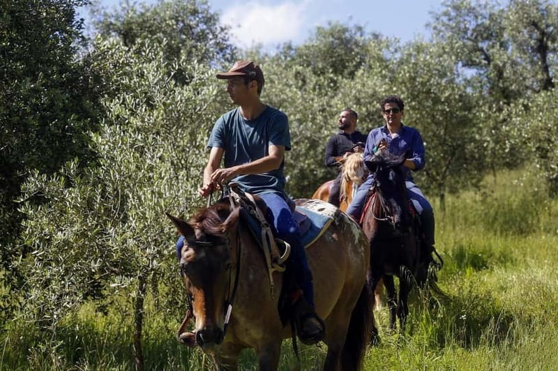 Florence: Private Horseback Ride with Tuscan Lunch or Dinner - What the private format changes