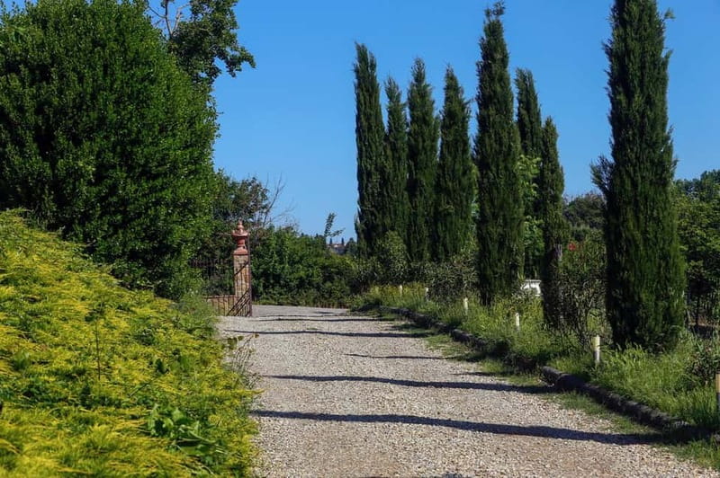 Florence: Private Horseback Ride with Tuscan Lunch or Dinner - A quick Fiesole photo stop