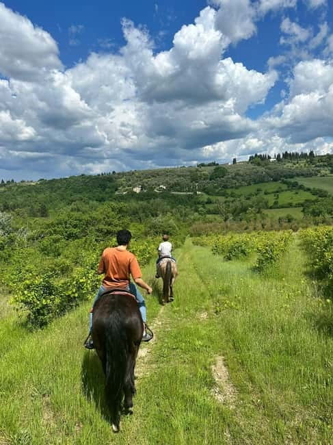 Florence: Private Horseback Ride with Wine Aperitivo - One hour through vineyards, olive trees, and quiet trails