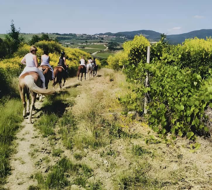Florence: Tuscan Countryside Horseback Ride - Key points before you book