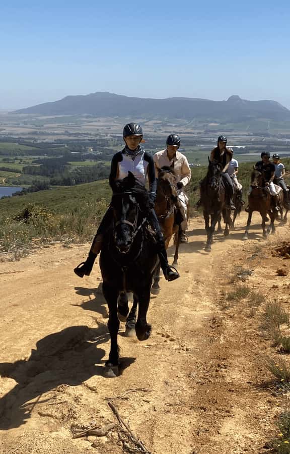 Franschhoek: Half Day Horse Trail and Wine Tasting - Five things to know before you book