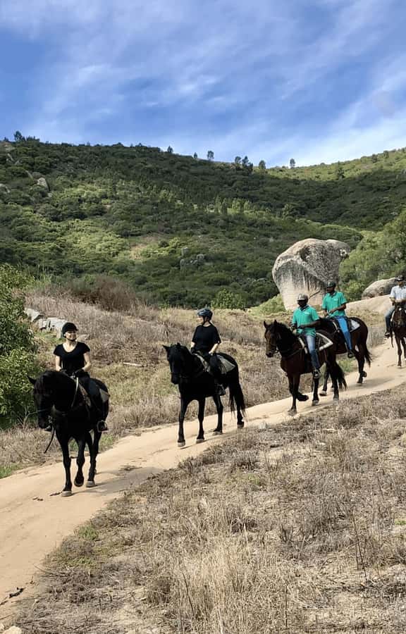Franschhoek: Half Day Horse Trail and Wine Tasting - The return ride and winery tasting