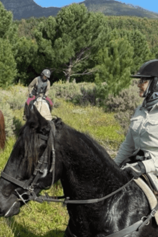 Franschhoek: Half Day Horse Trail and Wine Tasting - What to wear and bring