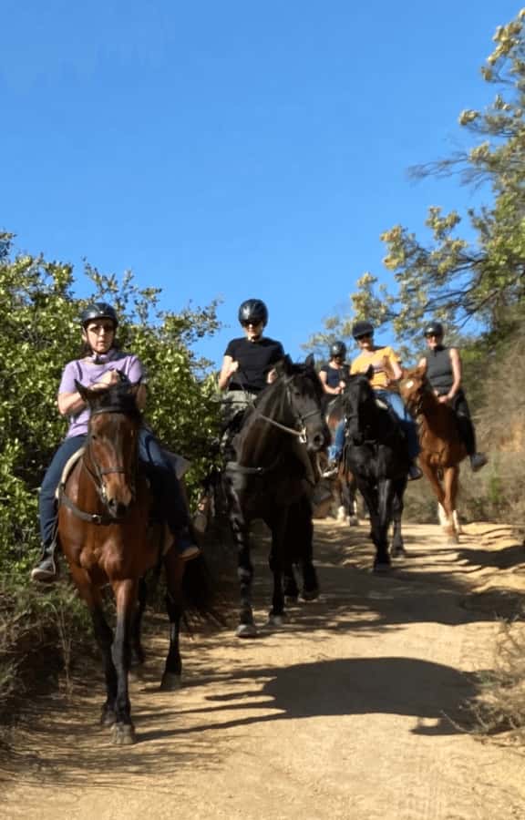 Franschhoek: Half Day Horse Trail and Wine Tasting - Who will enjoy this ride most