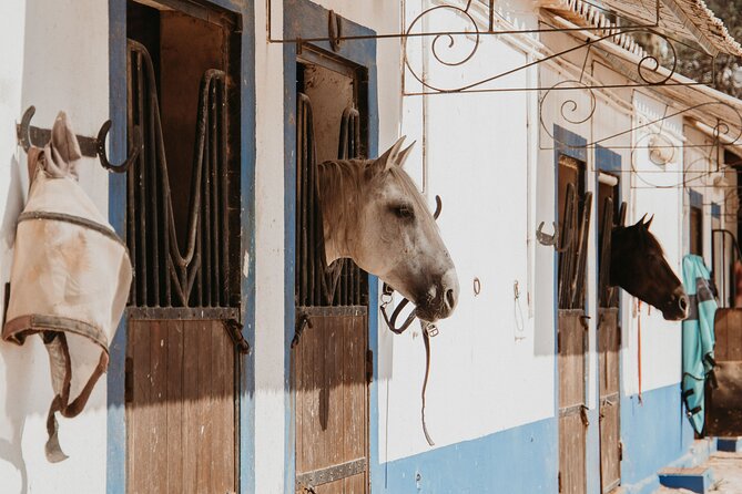 From Albufeira: Half-Day Hidden Gems & Horse Riding Tour - Seeing Albufeira through local eyes