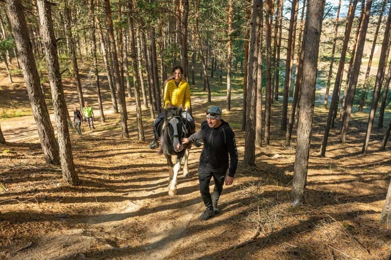 From Bansko: Horse Riding Experience - What the limited instruction means for beginners