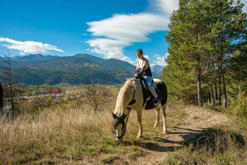 From Bansko: Horse Riding Experience - Why the $56 price can make sense