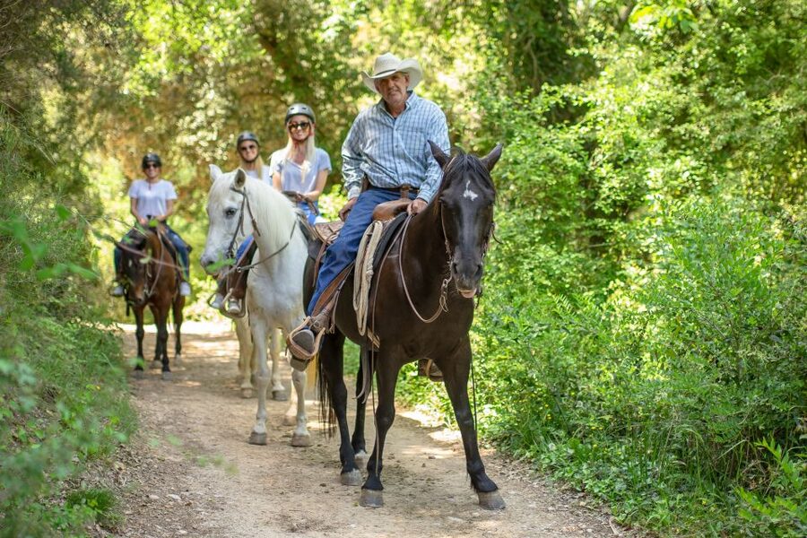 From Barcelona: Half-Day Montserrat & Horse Riding Tour - Montserrat Abbey and La Moreneta