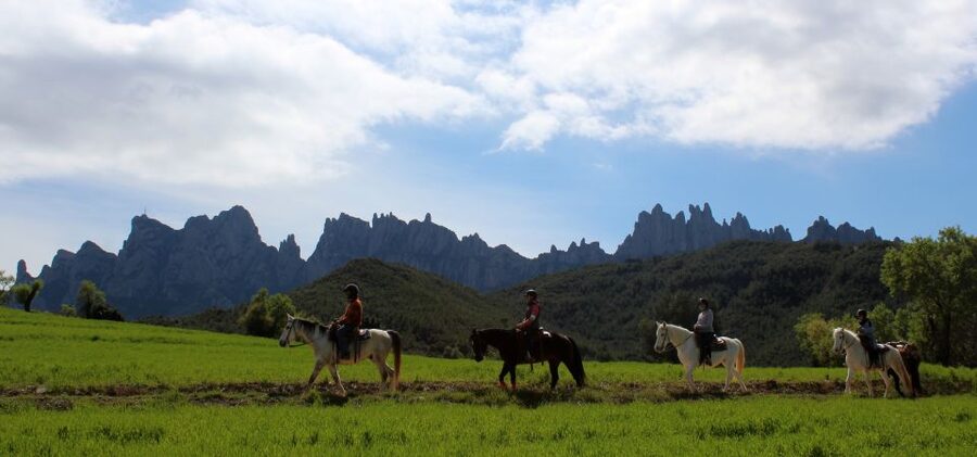 From Barcelona: Horseback Tour in Montserrat National Park - Meeting the horses at the ranch
