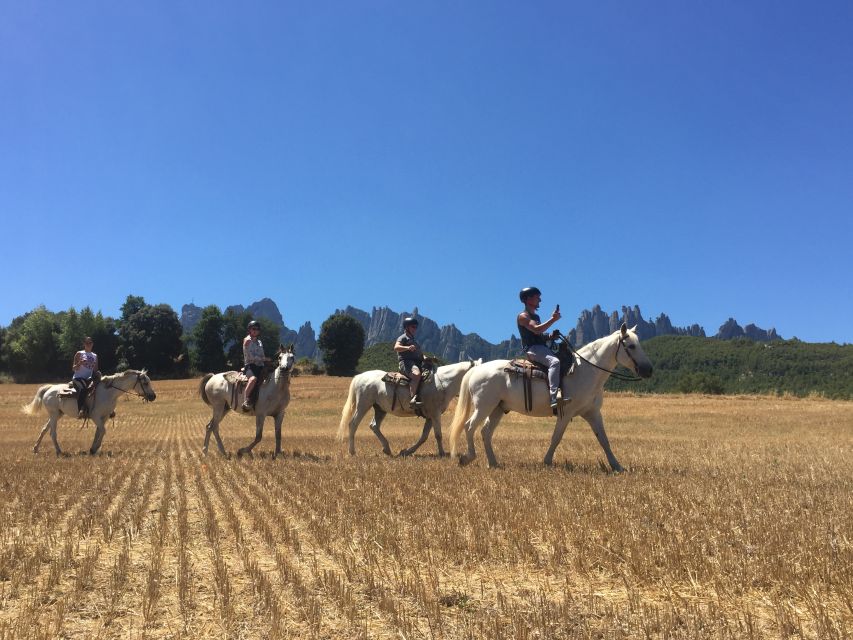 From Barcelona: Horseback Tour in Montserrat National Park - The drive from Barcelona to Montserrat