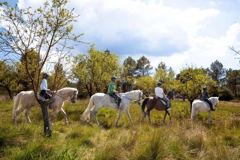 From Barcelona: Montserrat Walking and Horseback Riding Tour - Why this combination works so well
