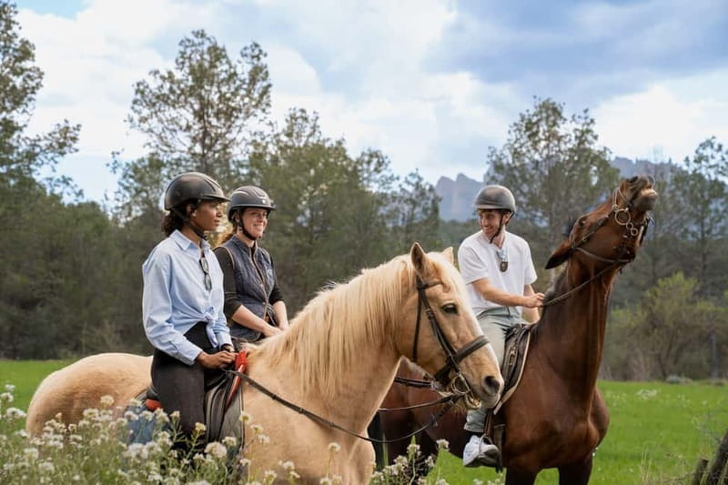 From Barcelona: Montserrat Walking and Horseback Riding Tour - Inside Montserrat Monastery and Basilica
