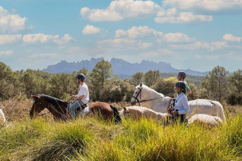 From Barcelona: Montserrat Walking and Horseback Riding Tour - The 30-minute walk through Montserrat National Park