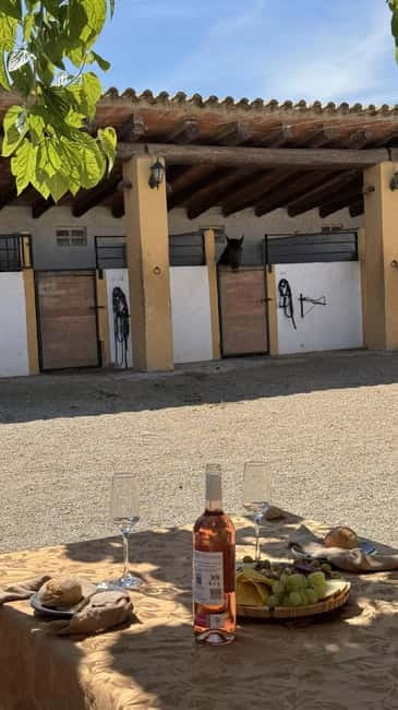 From Barcelona: PRIVATE Horseback Ride + Tapas + Picnic - Leaving Barcelona for Penedès country