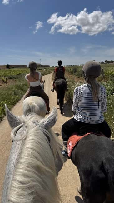 From Barcelona: PRIVATE Horseback Ride + Tapas + Picnic - Pica pica: a relaxed Catalan food stop