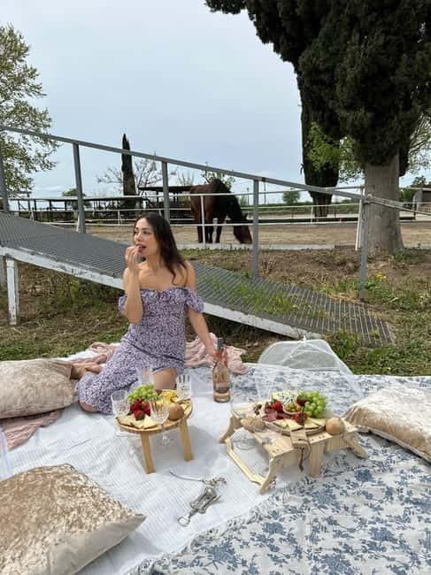 From Barcelona: PRIVATE Horseback Ride + Tapas + Picnic - What the $347 price really buys
