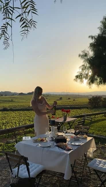 From Barcelona: PRIVATE Horseback Ride + Tapas + Picnic - How the timing works from 10 a.m. to 2:30 p.m.
