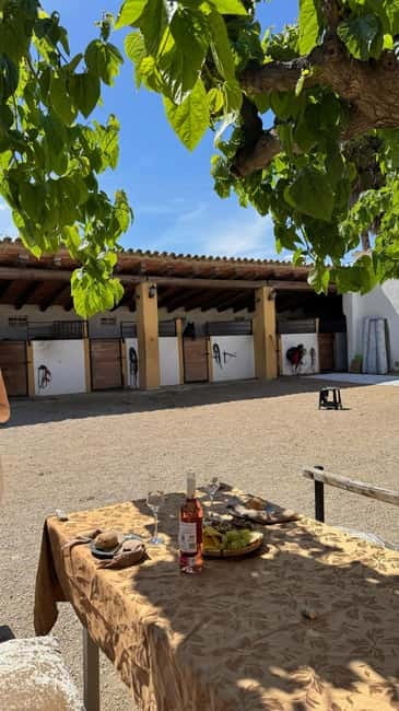 From Barcelona: PRIVATE Horseback Ride + Tapas + Picnic - Who will enjoy this private outing most