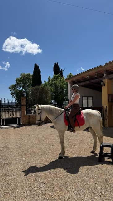 From Barcelona: PRIVATE Horseback Ride + Tapas + Picnic - Guide quality and the private-group feel