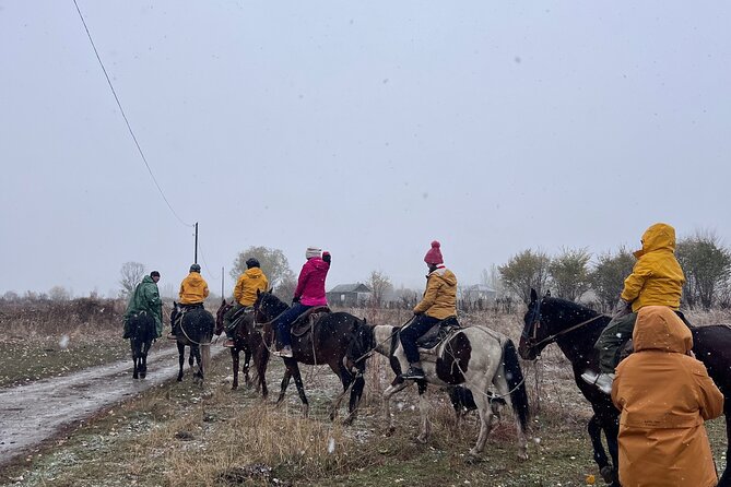 From Bishkek Horse Riding in Arashan Mountains - Choosing the right horse for your ability