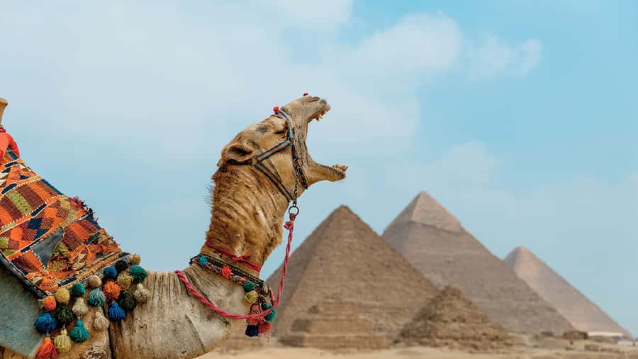 From Cairo: Camel or Horse Ride Tour Around Giza Pyramids - Leaving Cairo in a private air-conditioned car