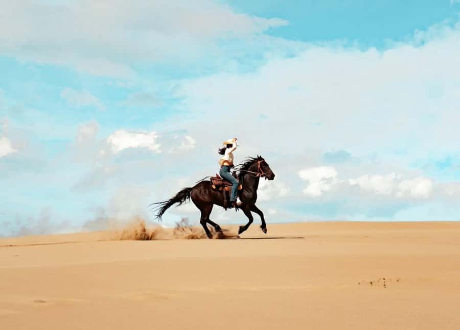 From Doha: Experience Horse Riding In Qatar Desert - The 45-minute drive from Doha