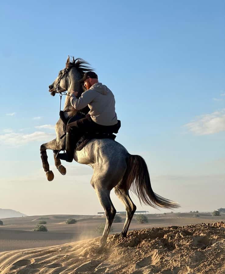 From Doha: Experience Horse Riding In Qatar Desert - Final verdict: a calm and well-run desert outing